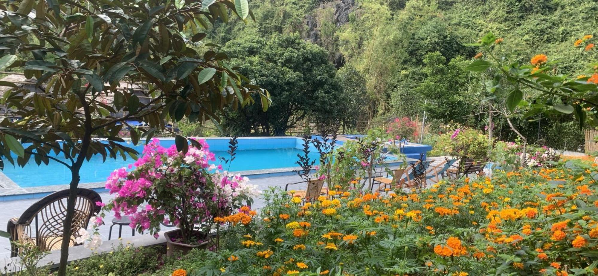 Cat Ba Island Garden Homestay - Papillon Exteriör bild