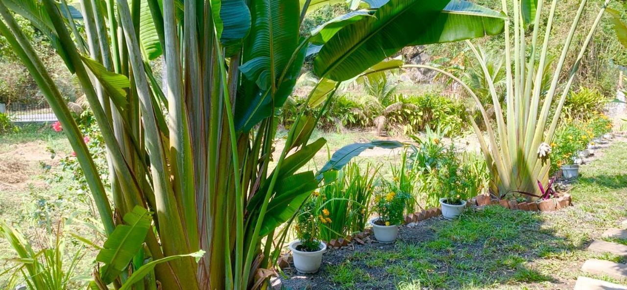Cat Ba Island Garden Homestay - Papillon Exteriör bild
