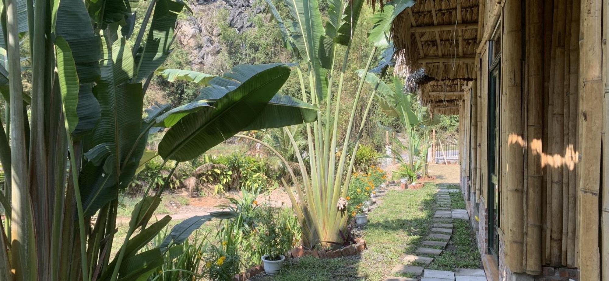 Cat Ba Island Garden Homestay - Papillon Exteriör bild