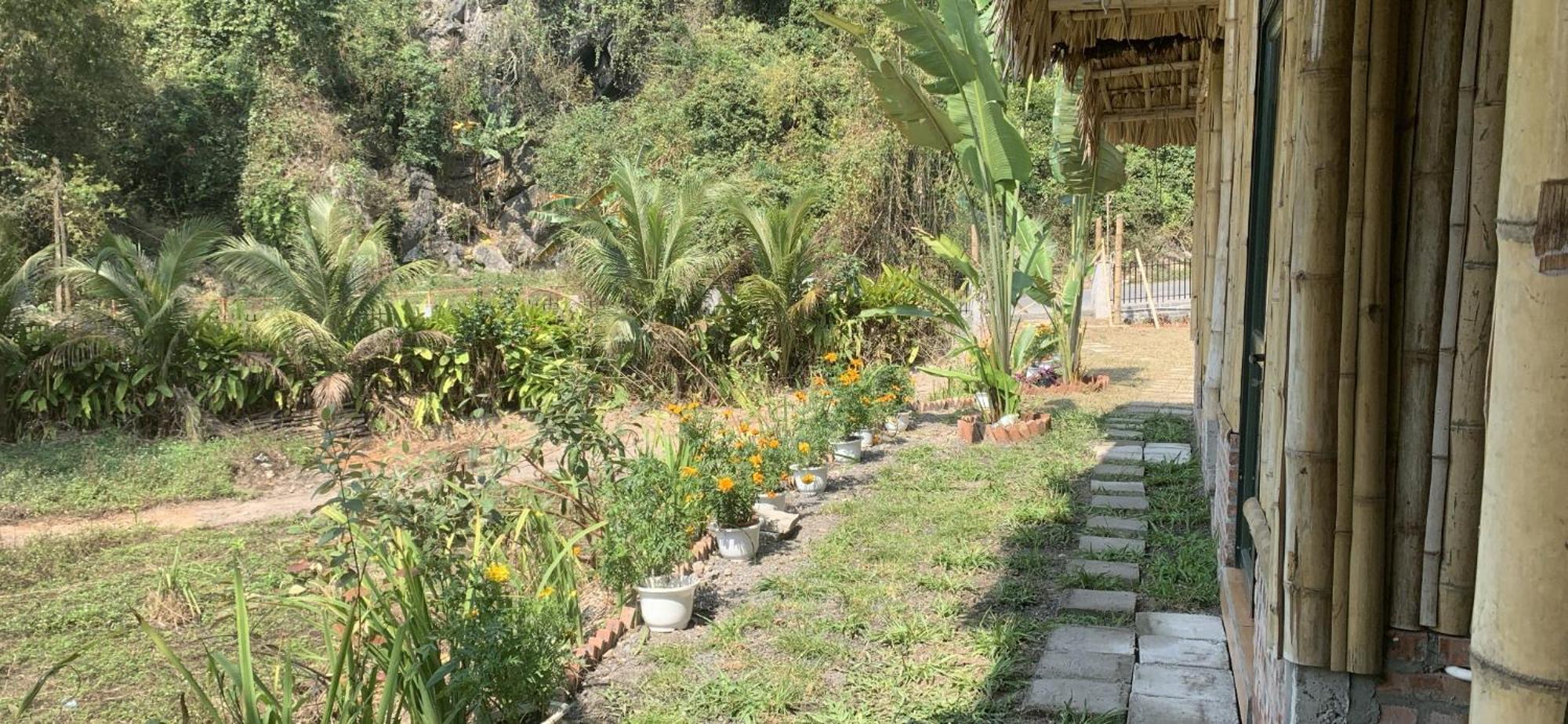 Cat Ba Island Garden Homestay - Papillon Exteriör bild
