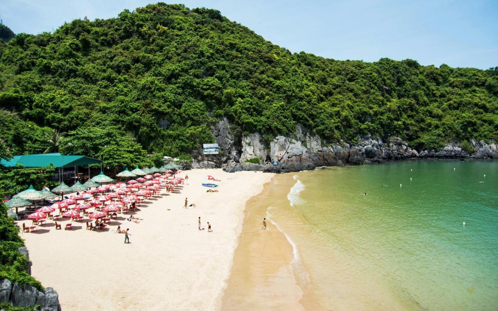 Cat Ba Island Garden Homestay - Papillon Exteriör bild