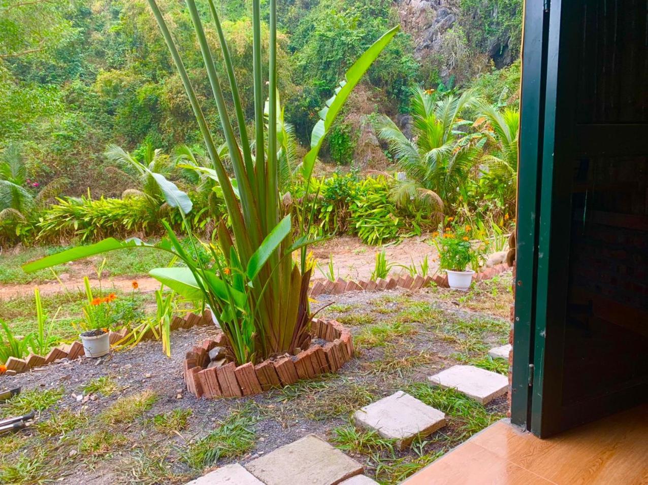 Cat Ba Island Garden Homestay - Papillon Exteriör bild