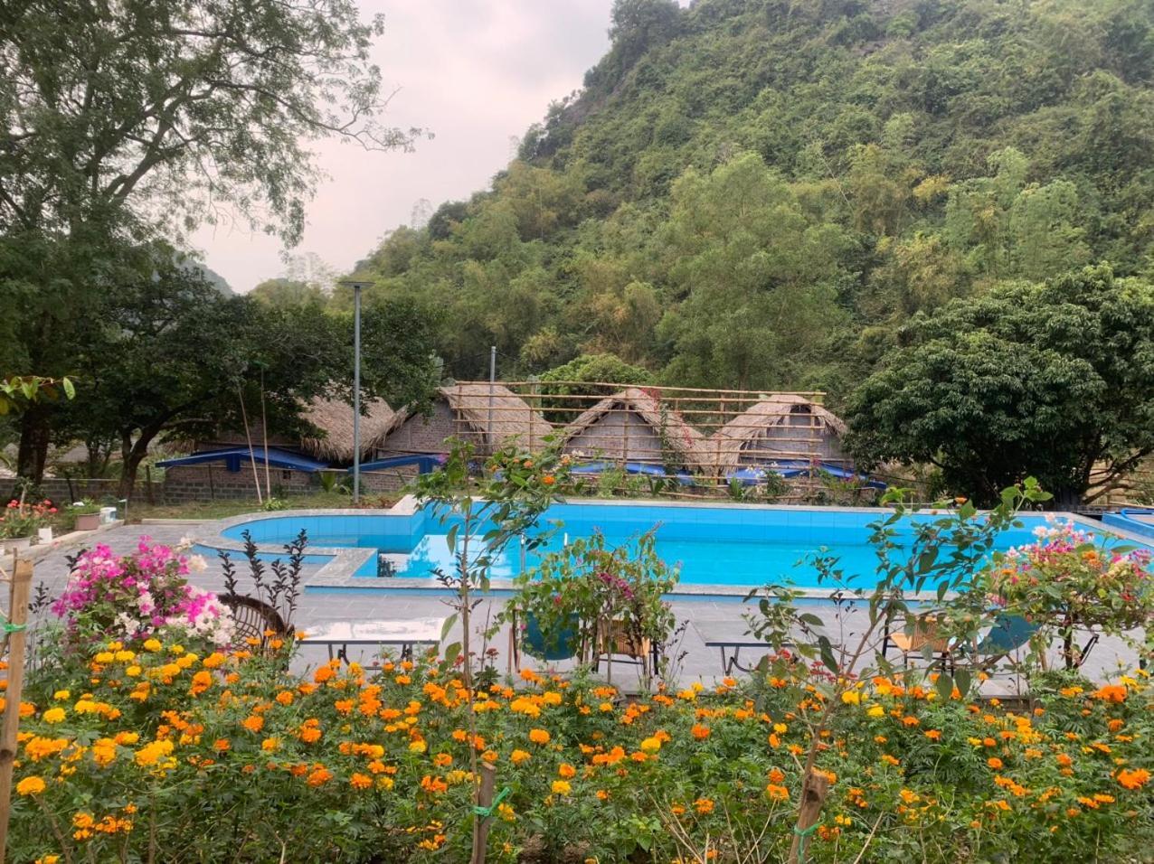 Cat Ba Island Garden Homestay - Papillon Exteriör bild